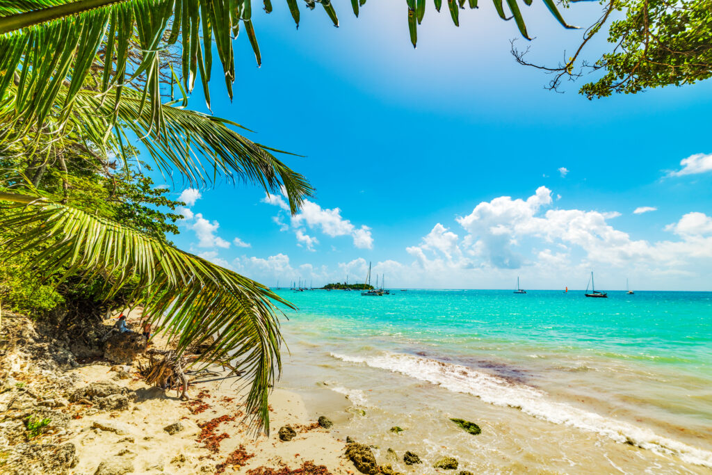 caribbean relocation